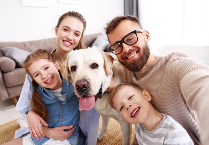 New Interest Rate of 7.9% on loans over £15k